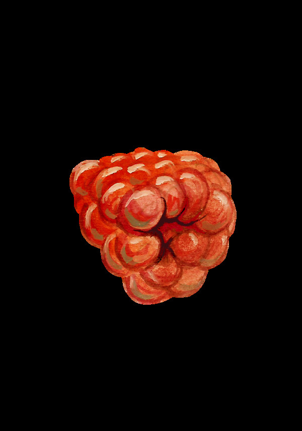 立體樹(shù)莓透明素材
