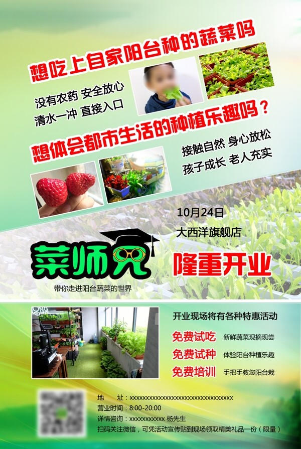 阳台蔬菜社区店推广海报