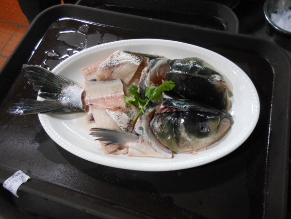 瘦身魚
