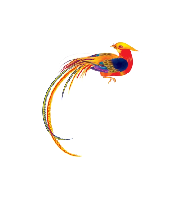 雀PS國畫鳥圖片