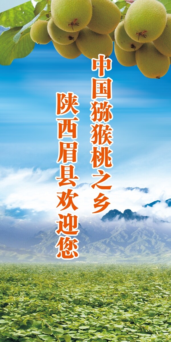 獼猴桃展板