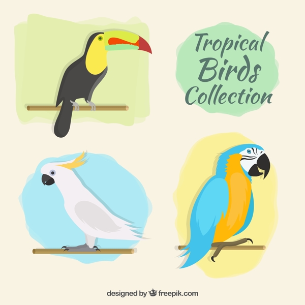 热带鸟集