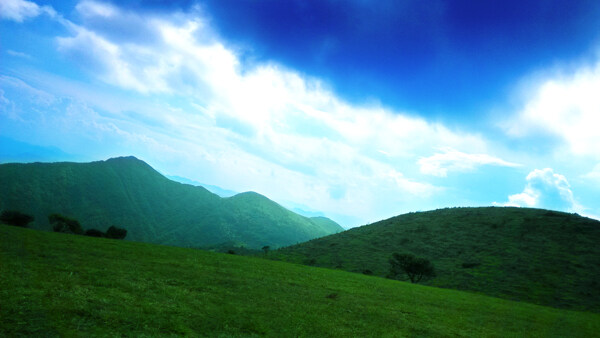 藍(lán)天白云草地