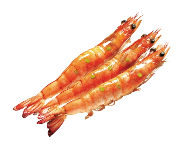 鮮蝦圖片