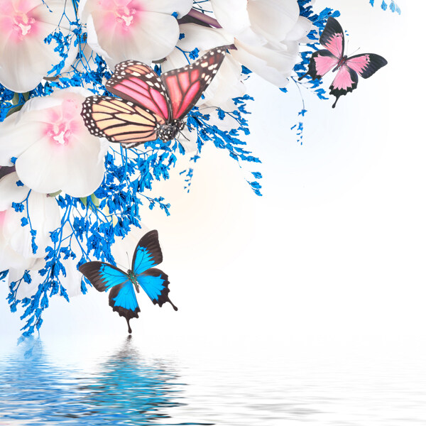 美丽的画面花朵蝴蝶图片