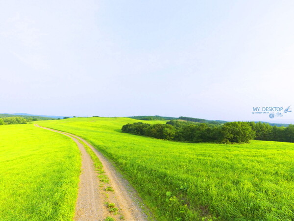 春天風(fēng)景