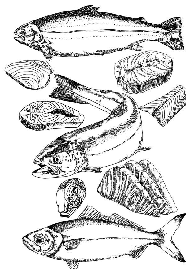 三文鱼食材海鲜刺身图片