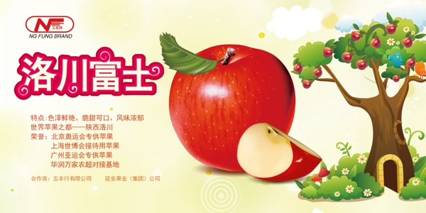 洛川富士苹果