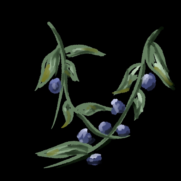 独立枝头的两串蓝莓