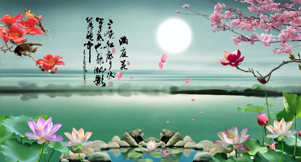滿庭花圖片