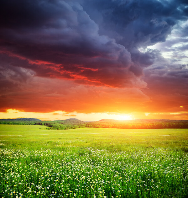 美丽草原日落风景