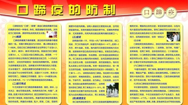 口蹄疫的防治展板圖片