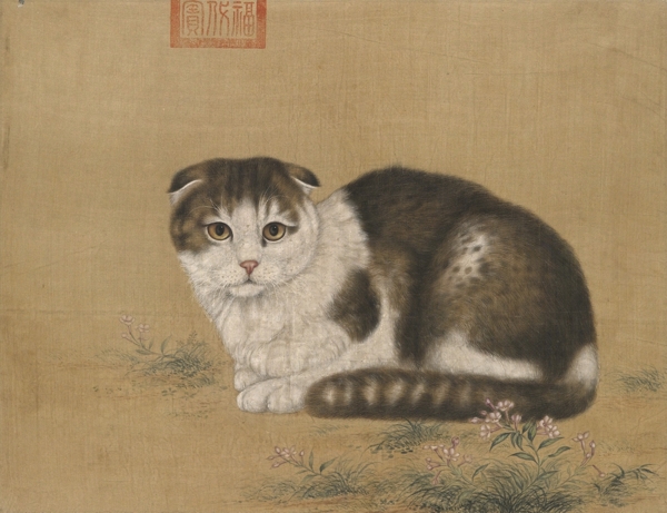 工筆貓圖片