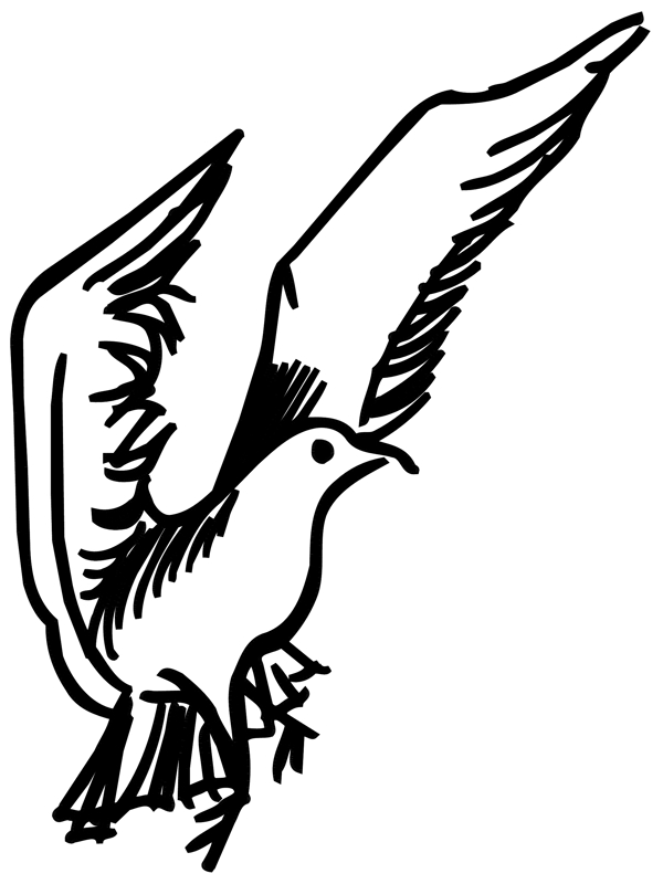 各種鳥類鳥動(dòng)物矢量素材EPS格式1396