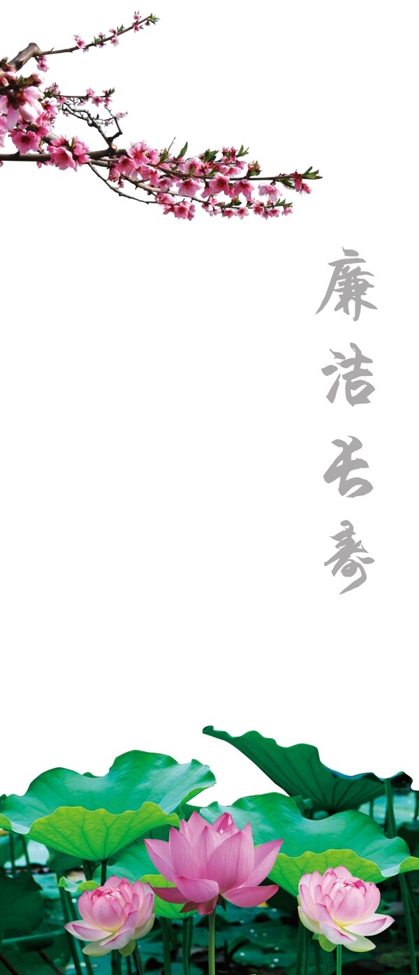 廉潔長壽圖片