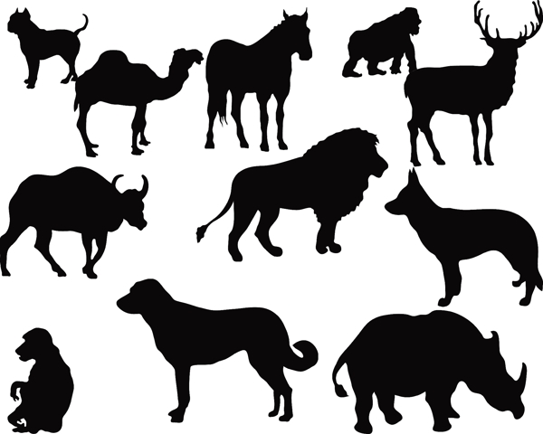 動物剪影