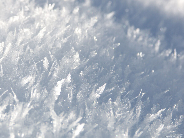 雪花圖片
