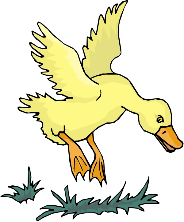 各種鳥類鳥動物矢量素材EPS格式0734