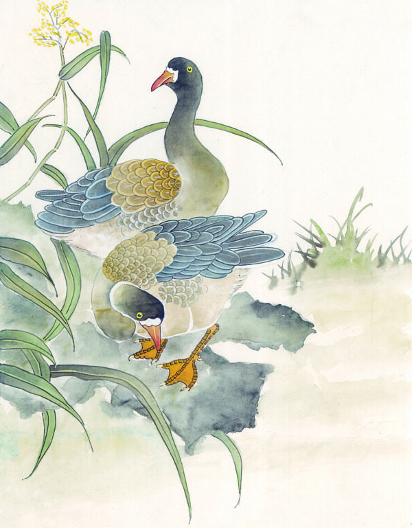 中華藝術(shù)繪畫古畫動(dòng)物繪畫孔雀天鵝鴛鴦鳳凰中國古代繪畫
