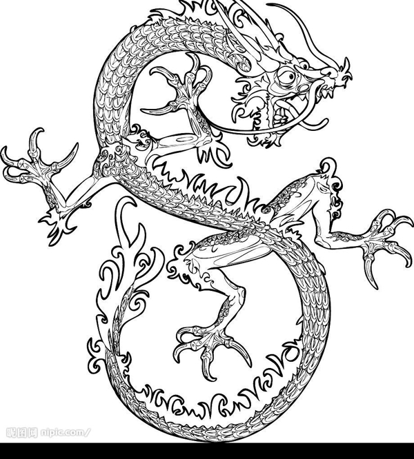 龍圖片