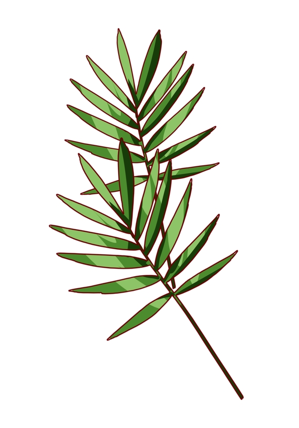 精美綠色植物