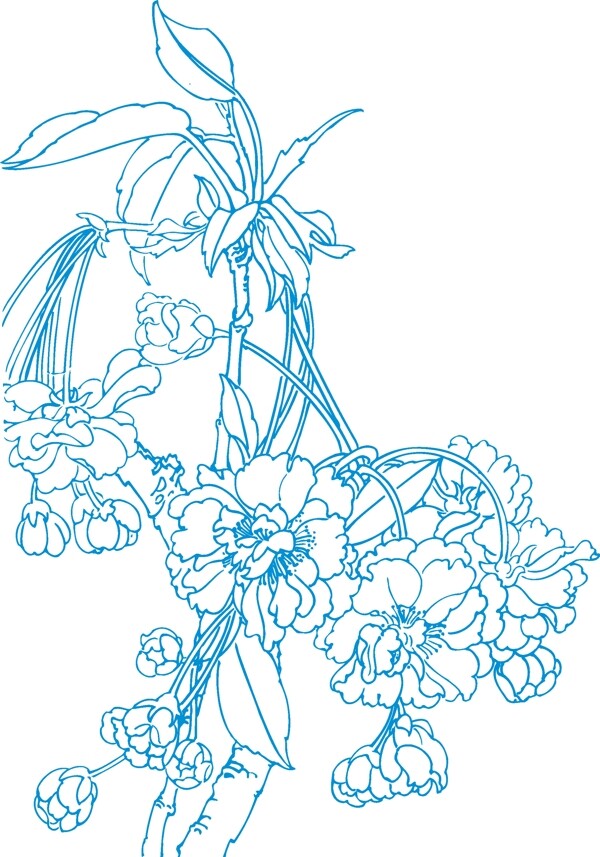 花卉白描3
