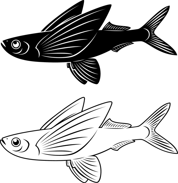 矢量魚圖片
