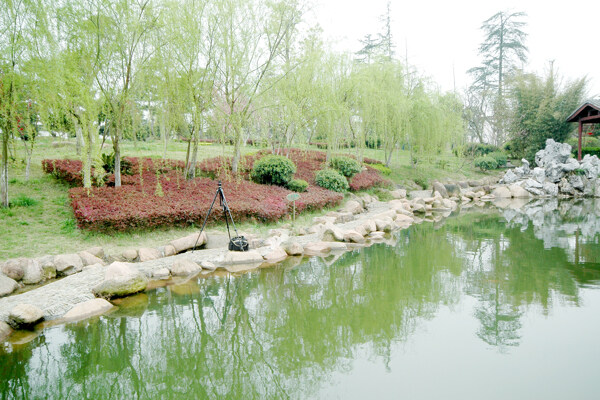 鄉(xiāng)村圖片