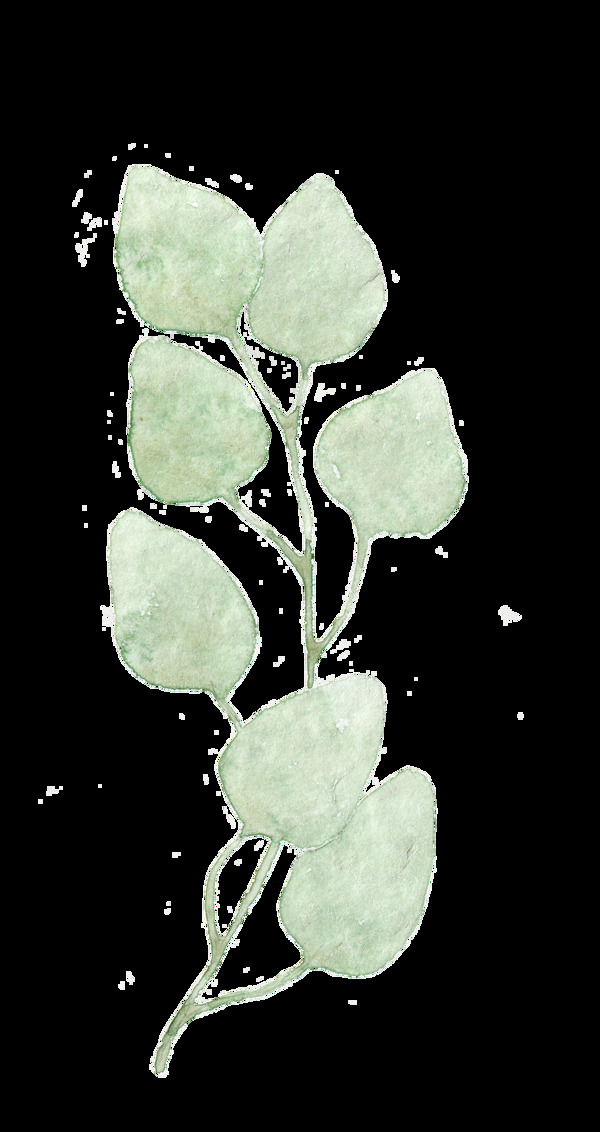 圓尖枝葉卡通水彩透明素材