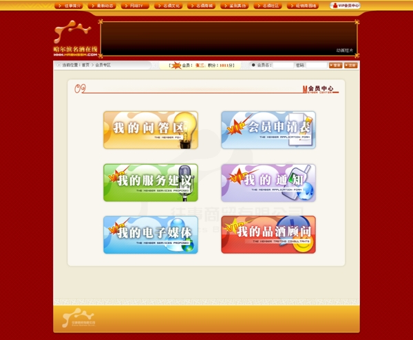 企業(yè)網(wǎng)站圖片