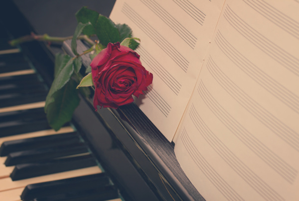 音乐谱和玫瑰花钢琴图片