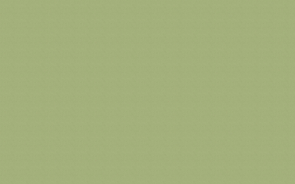 淡雅底紋43