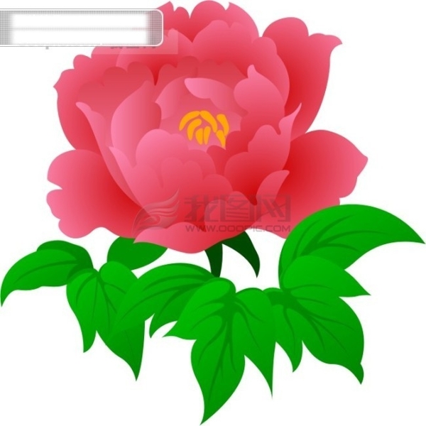 花紋