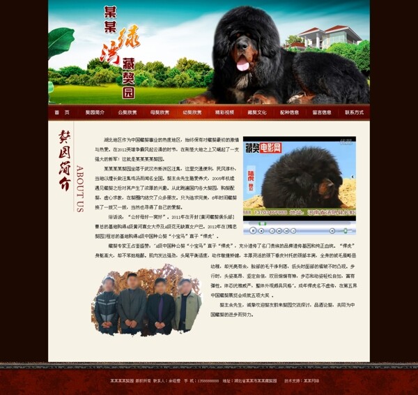 藏獒网页图片