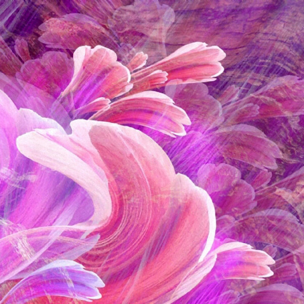 田園風(fēng)格位圖植物花卉免費(fèi)素材
