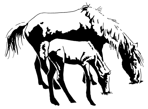 位圖動物色彩黑白色抽象動物免費(fèi)素材