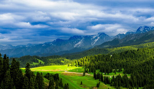 新疆天山下的草原唯美风景