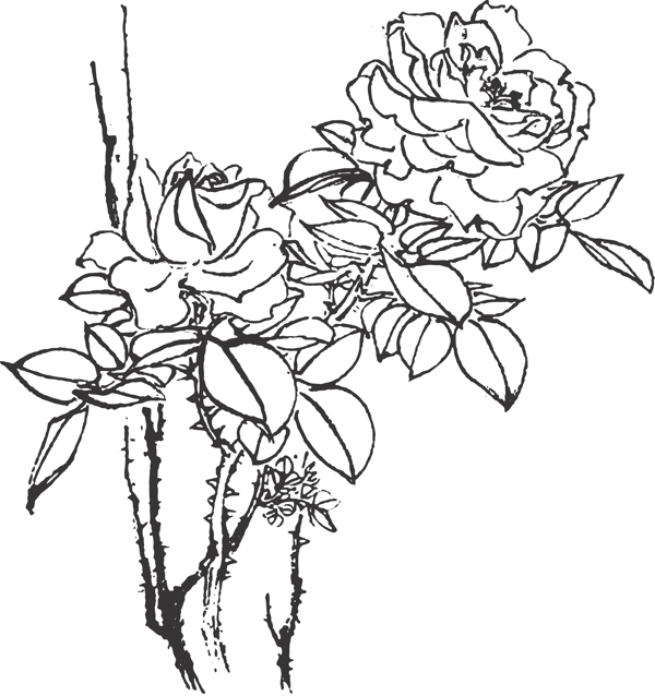 花卉