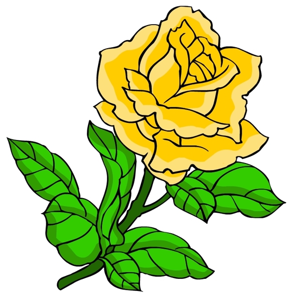 花卉古典插畫