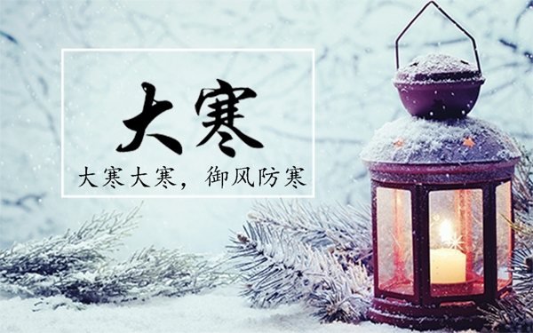 2018大寒节气白色雪景海报