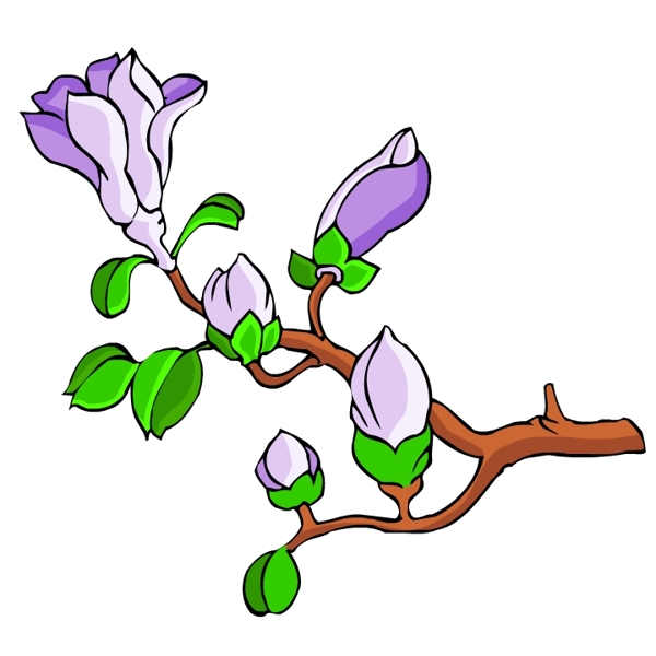 花卉古典插畫