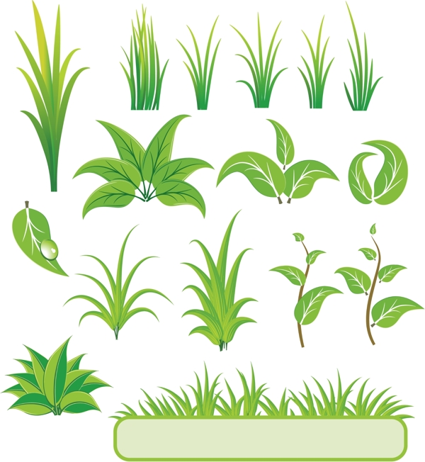 植物素材圖片