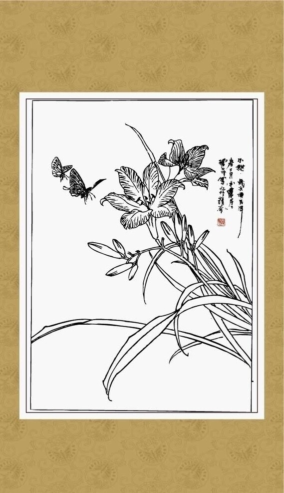 萱草圖片