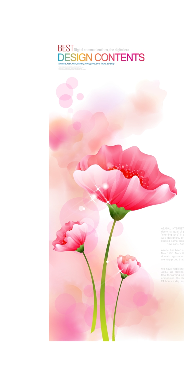 時尚花朵圖片
