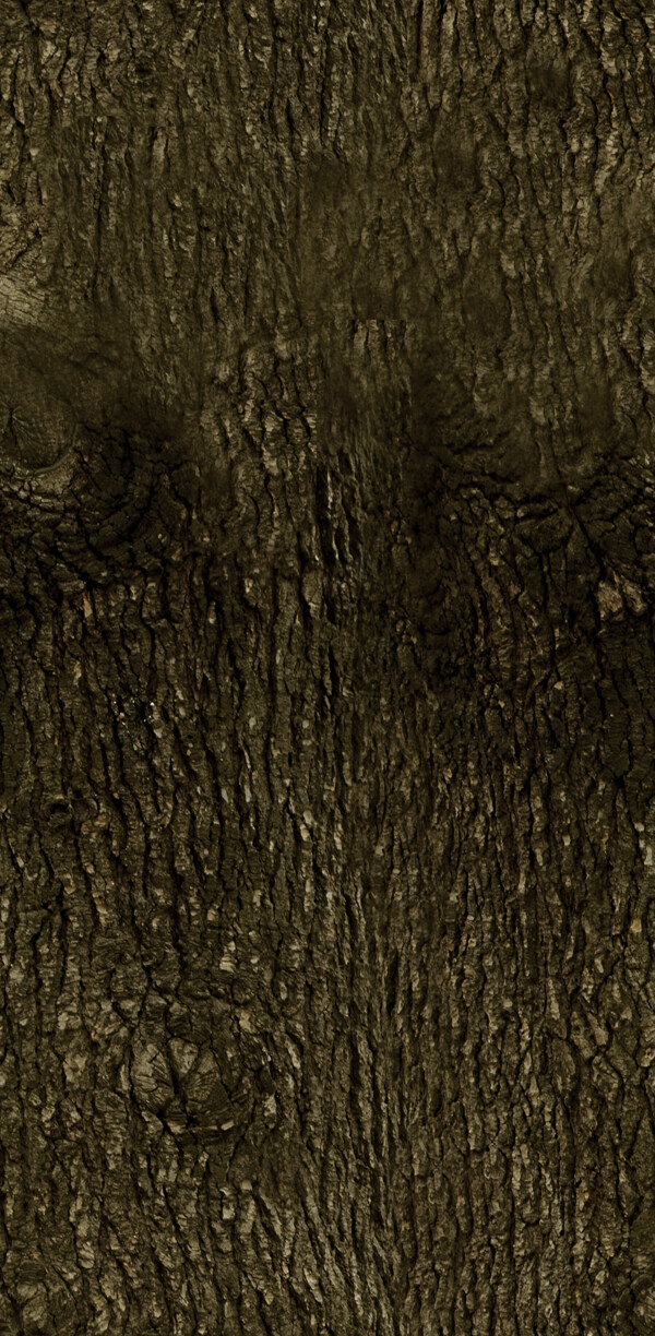 Tree樹(shù)07