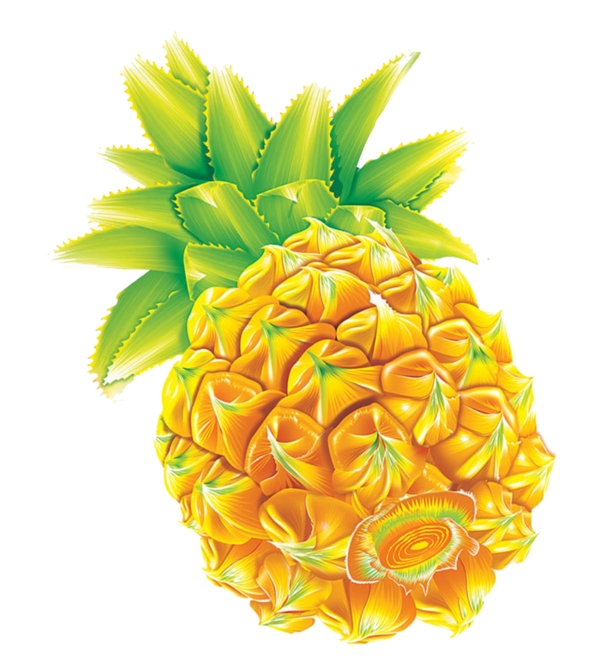 菠蘿素材