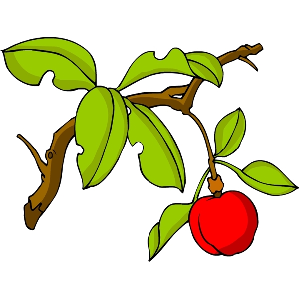 花卉古典插畫