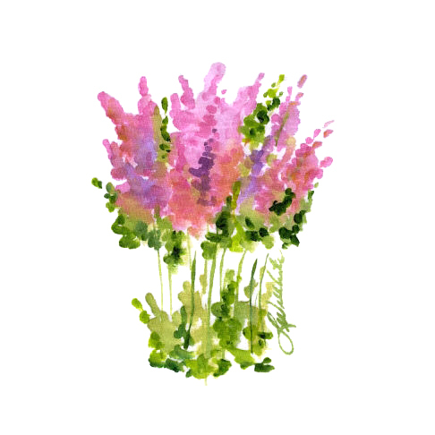 位圖植物寫意花卉花朵野花免費(fèi)素材