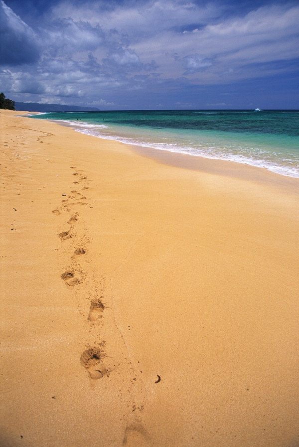 全球首席大百科海灘海邊沙灘海浪海水浪花