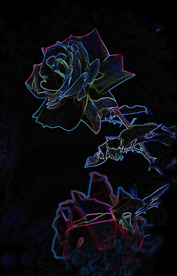 特殊技法處理的月季花